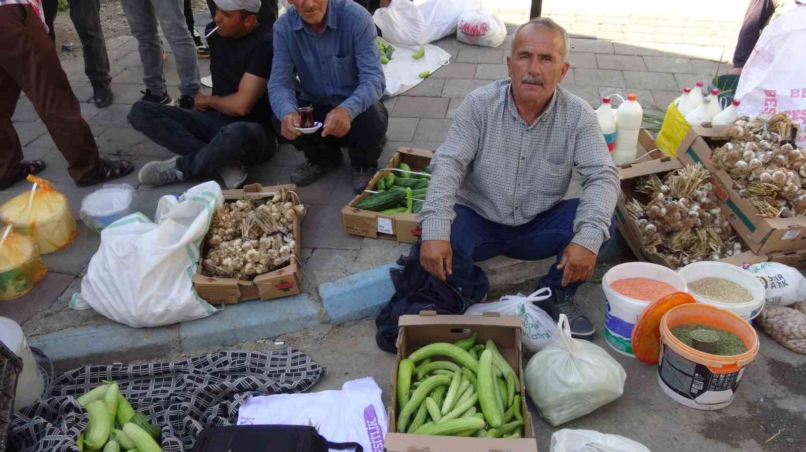 Bostanlarda "trözi" mesaisi