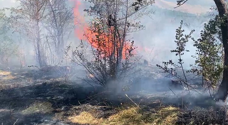 Bitlis’te peş peşe çıkan yangınlar paniğe neden oldu