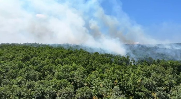 Çatalca Ormanlı’da orman yangını havadan ve karadan müdahaleyle söndürüldü