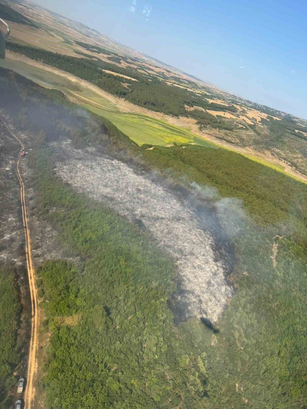 Tekirdağ’da orman yangını: Ekipler havadan ve karadan seferber oldu
