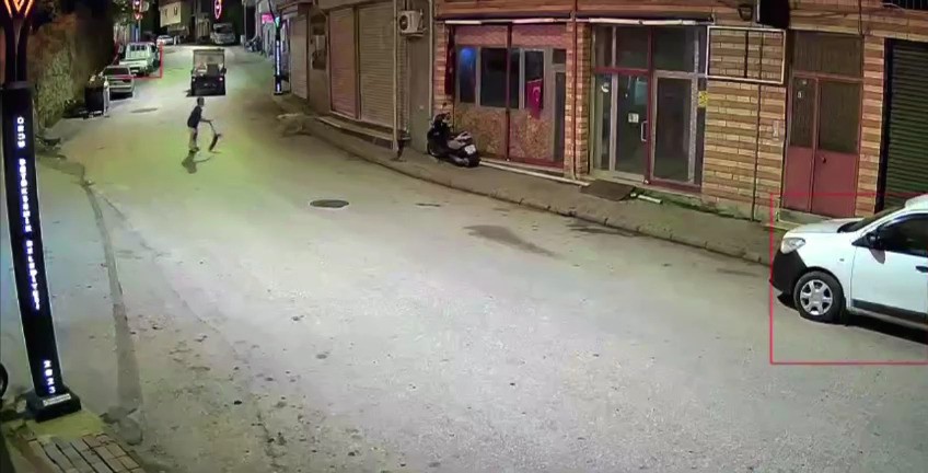 Ordu’da küçük çocuk sokak köpeklerinin saldırısına uğradı