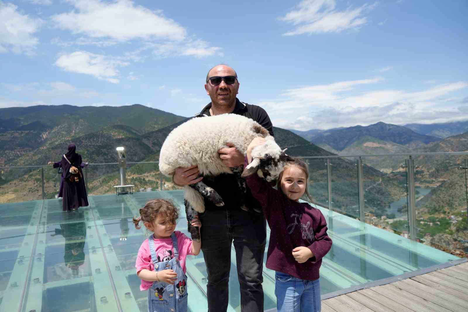 Gümüşhane’de cam seyir terasının sevimli ziyaretçisi