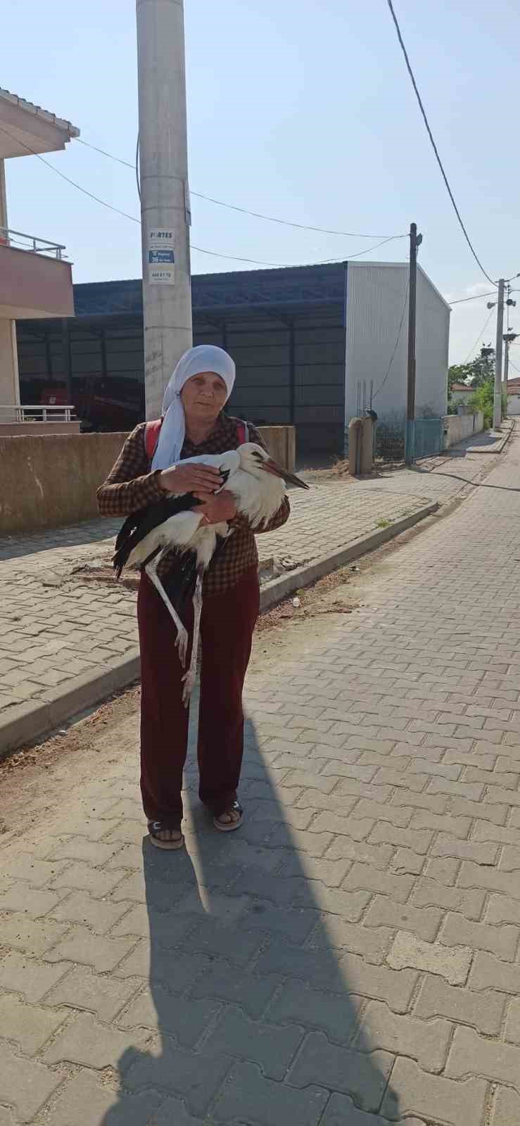 Yerde bitkin halde bulduğu yaralı leyleğe sahip çıktı