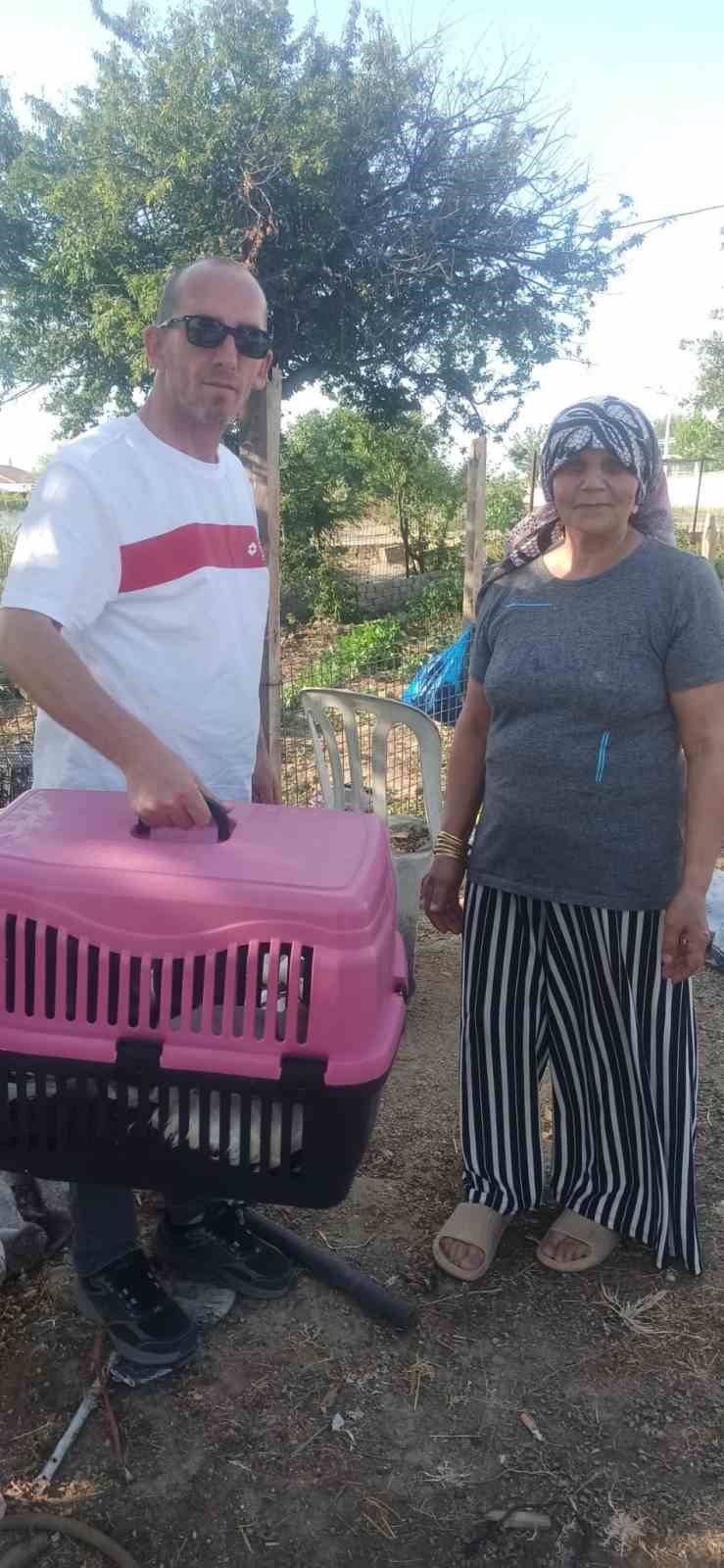 Yerde bitkin halde bulduğu yaralı leyleğe sahip çıktı