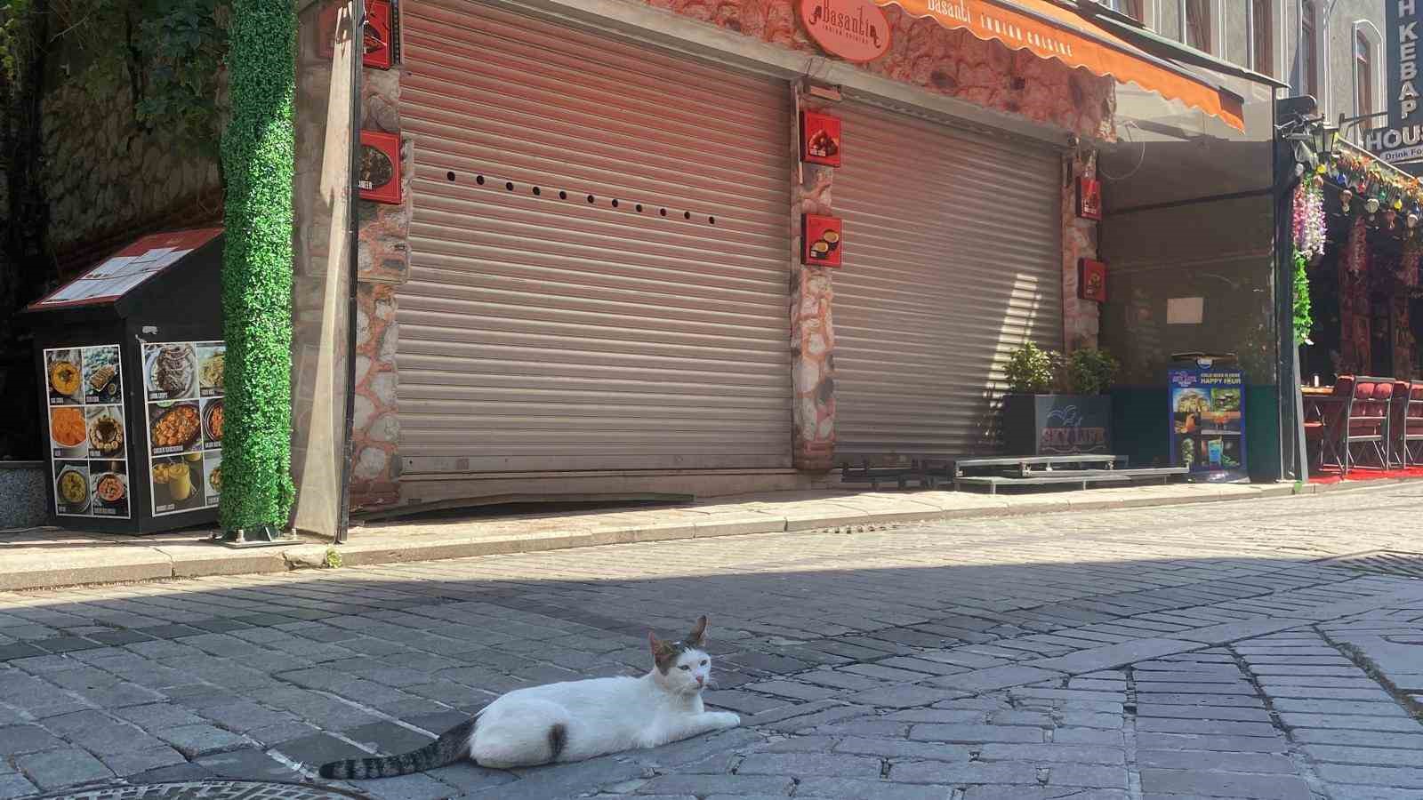 Mühürlü boş dükkandan yayılan kötü koku ekipleri harekete geçirdi