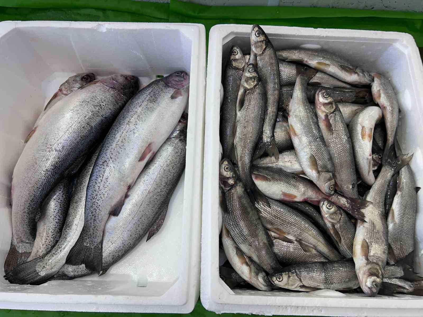 İnci kefali tezgâhlardaki yerini aldı
