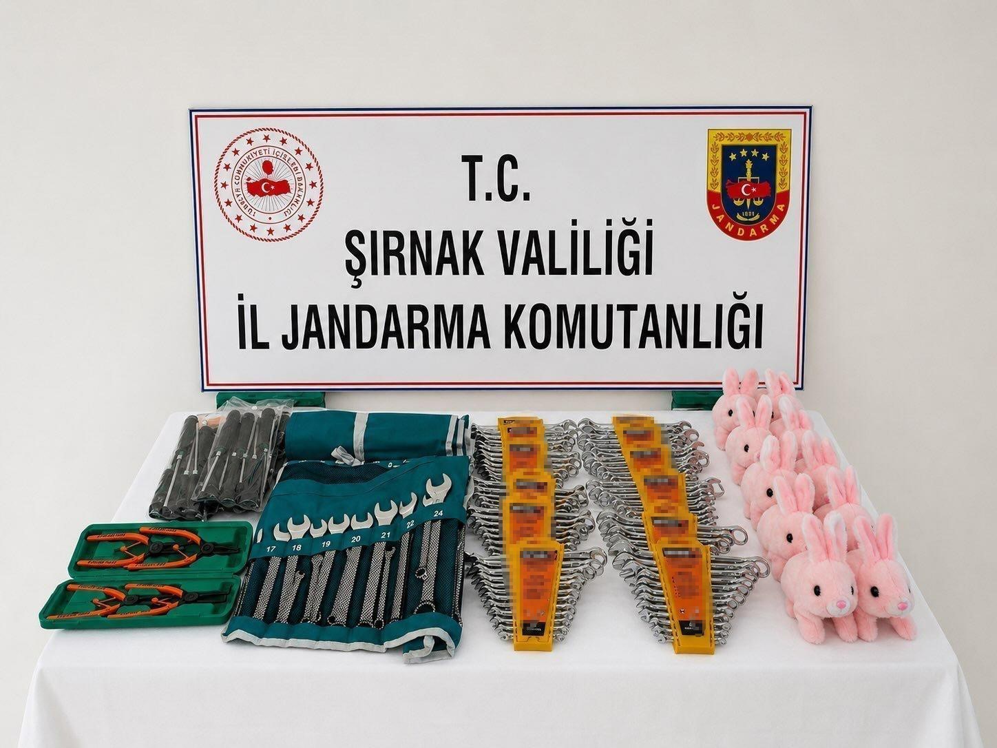 Şırnak’ta jandarmadan kaçakçılığa büyük darbe: 8 milyon liralık kaçak ürün ele geçirildi