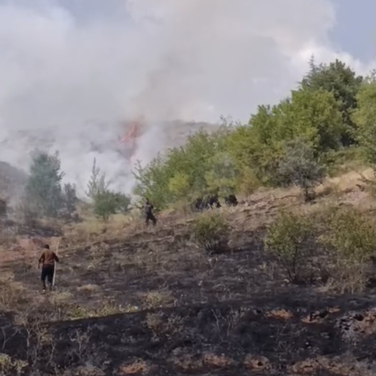 Çankırı’da çıkan arazi yangını söndürüldü