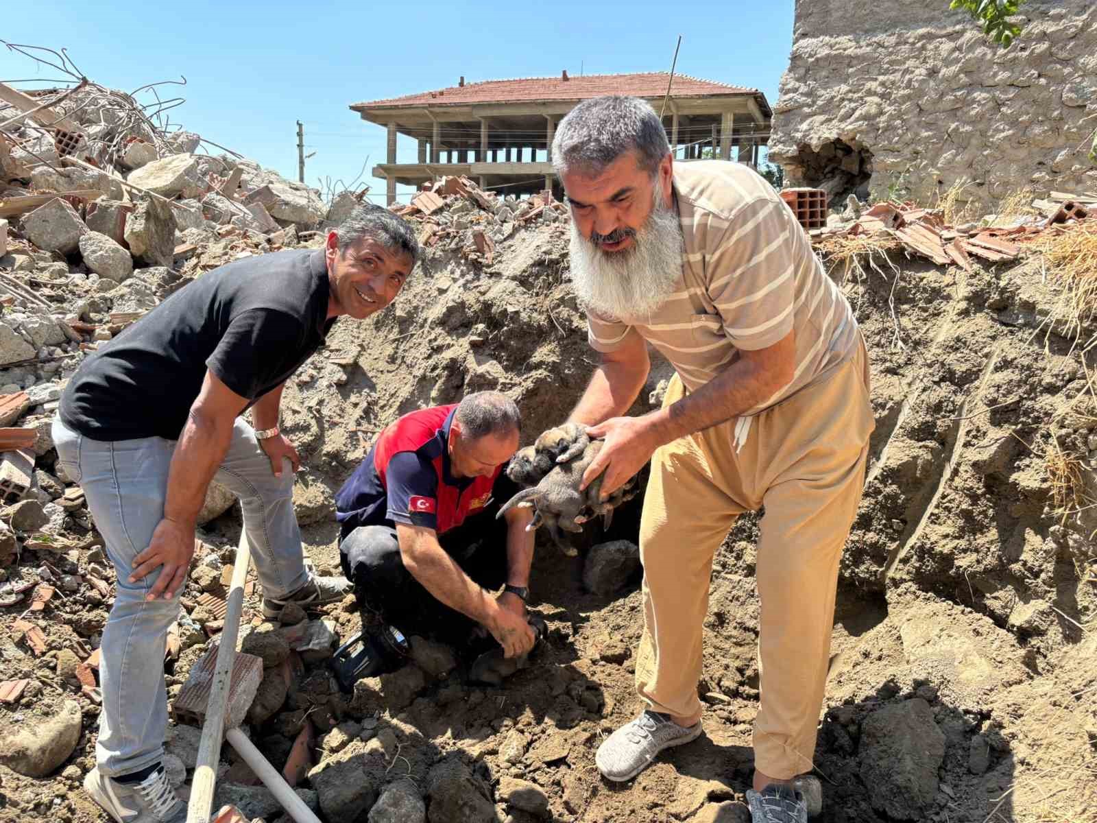 Yıkım halindeki binada mahsur kalan 8 yavru köpeği itfaiye kurtardı