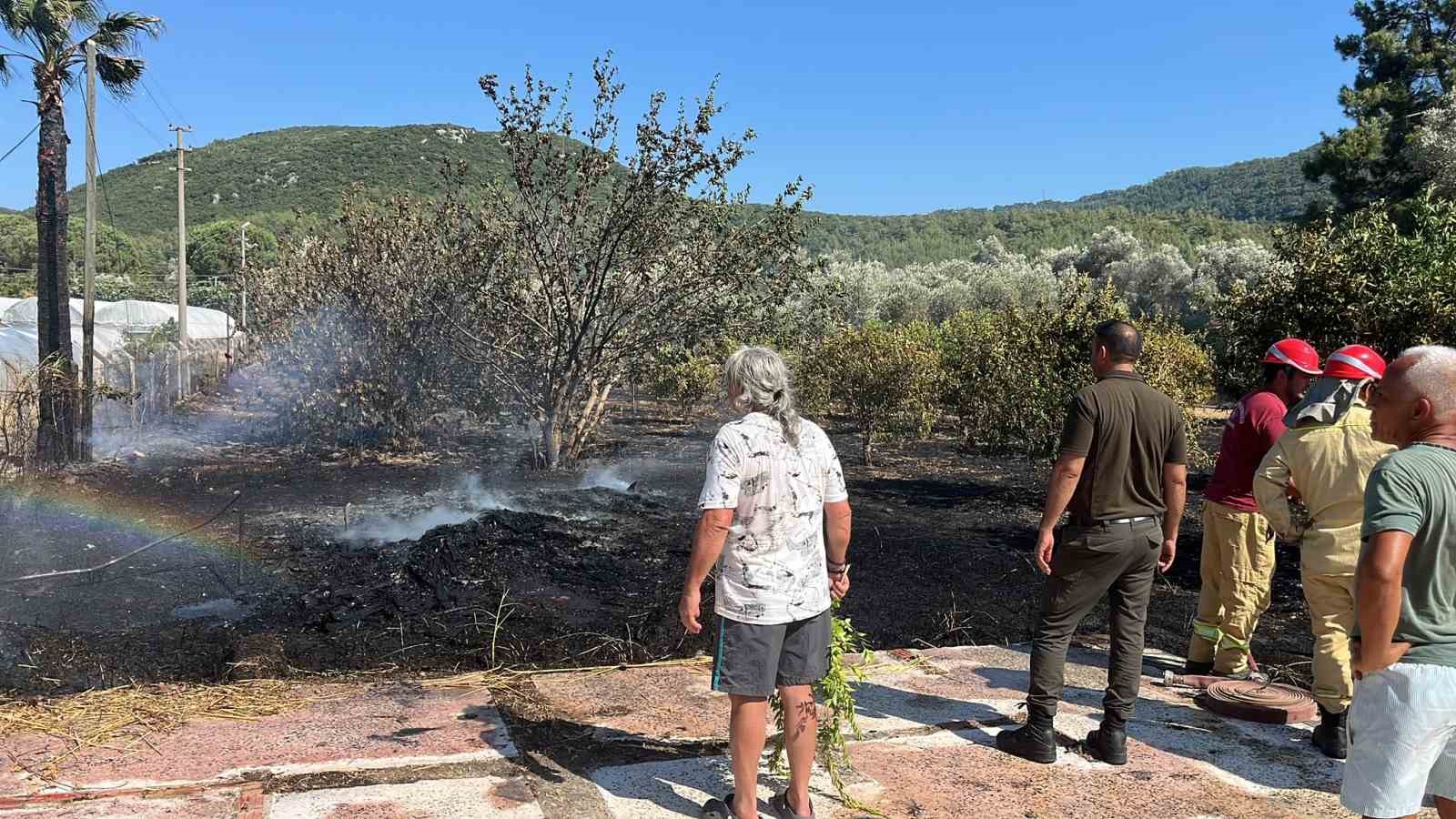Marmaris’te zirai alan yangını kontrol altında