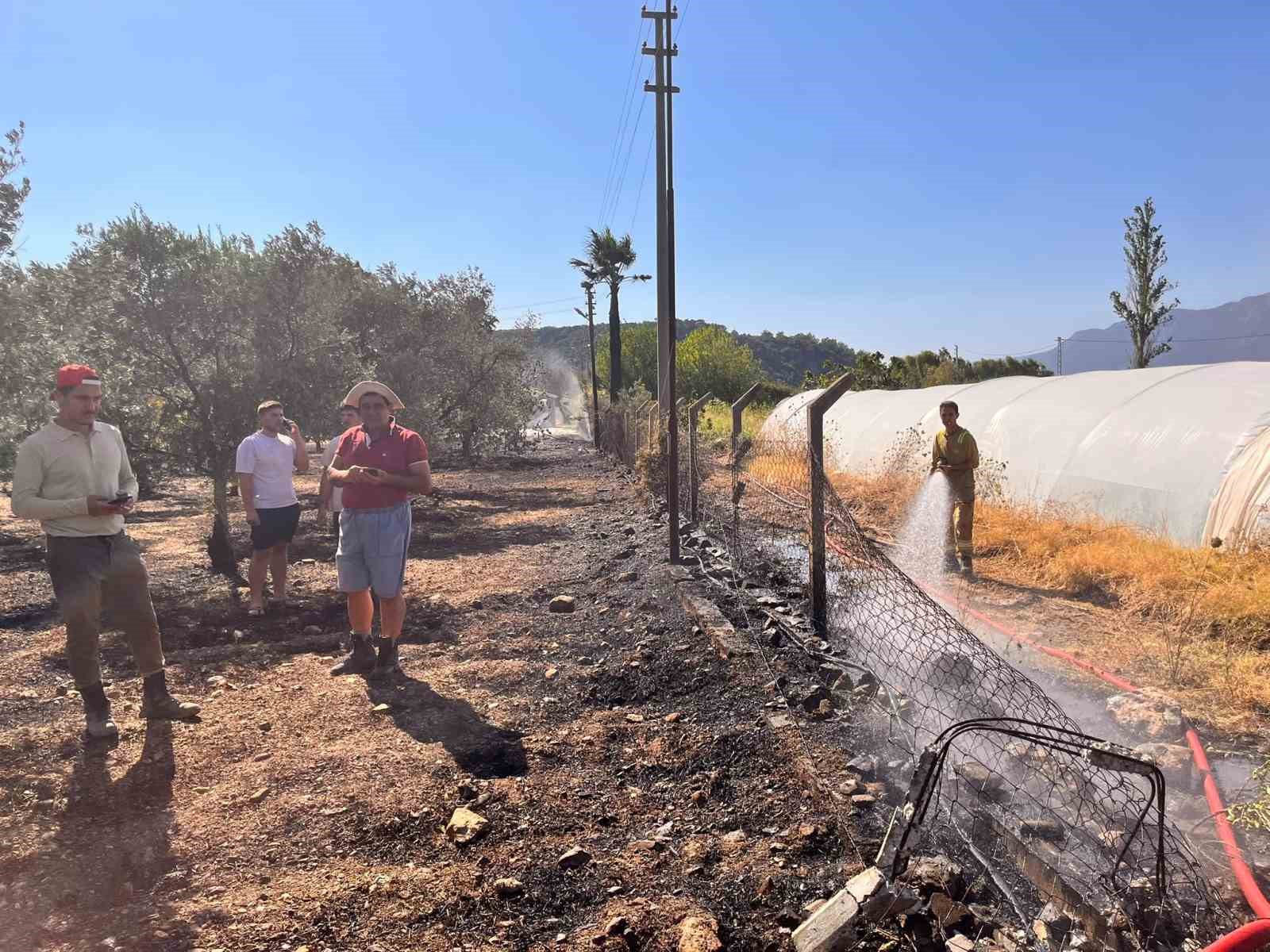 Marmaris’te zirai alan yangını kontrol altında