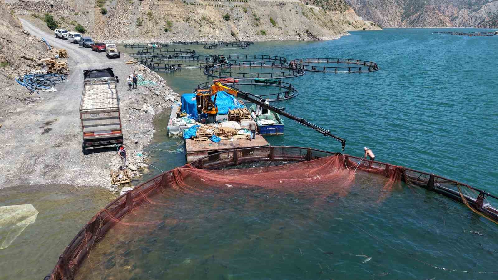 Çoruh Havzası’nda üretilen Türk somonları dünya sofralarında