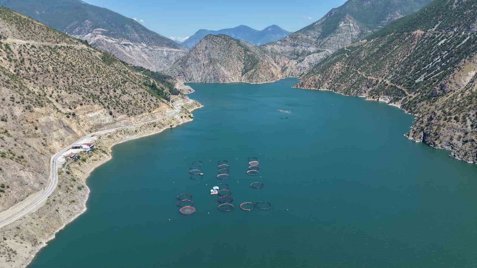 Çoruh Havzası’nda üretilen Türk somonları dünya sofralarında