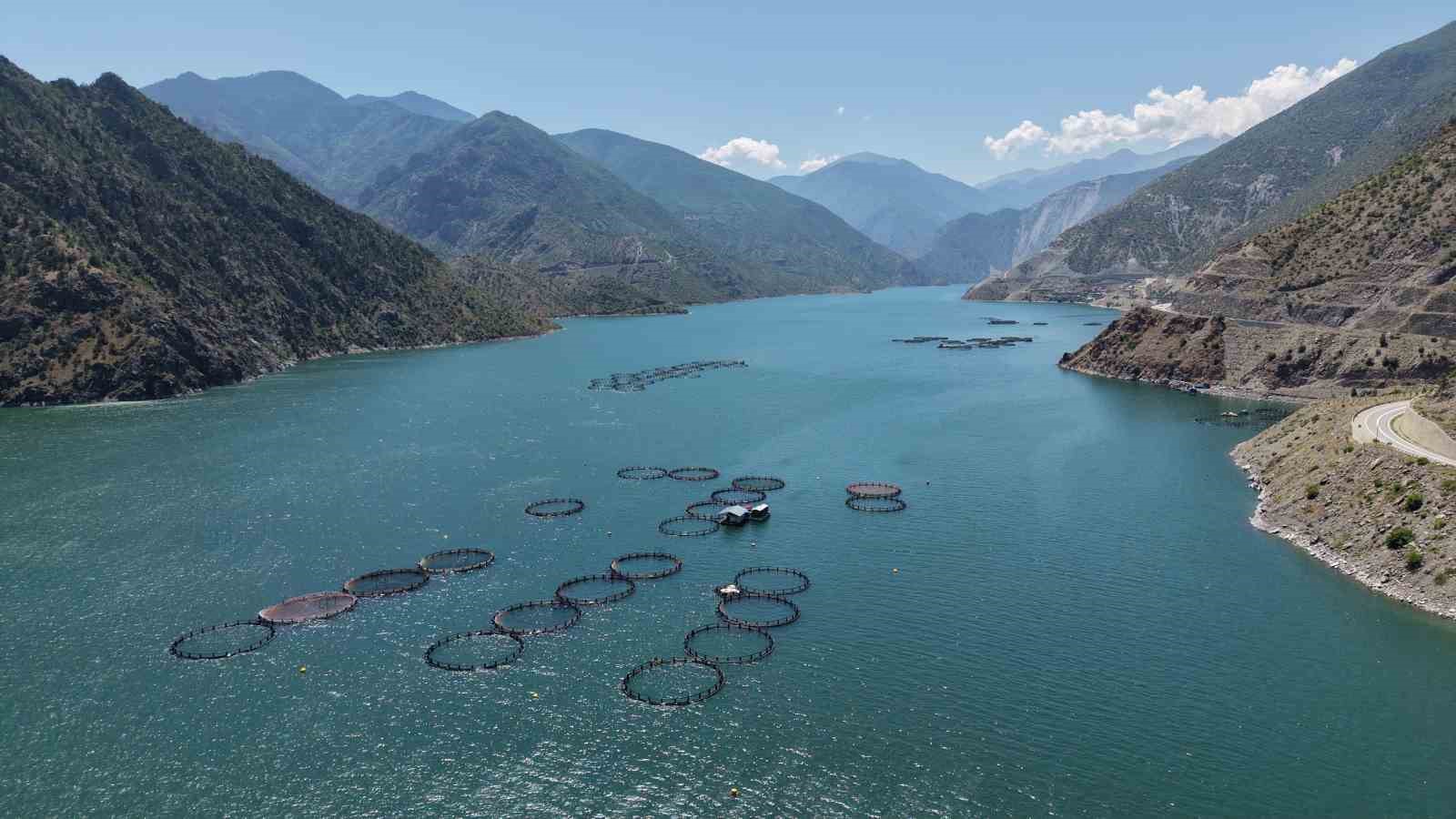 Çoruh Havzası’nda üretilen Türk somonları dünya sofralarında