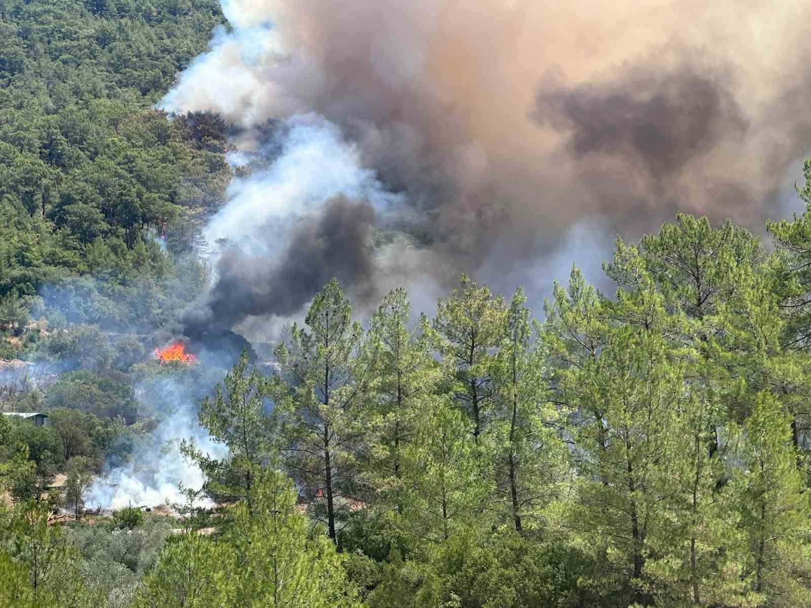 Fethiye’de orman yangını