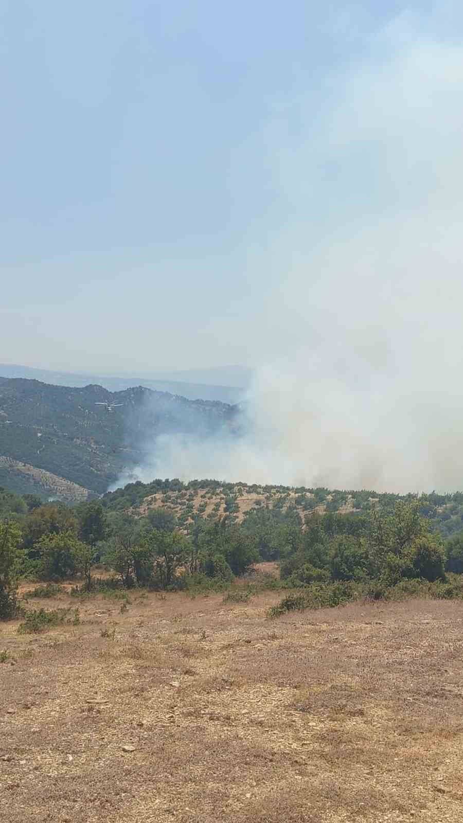 Kuyucak’ta orman yangını