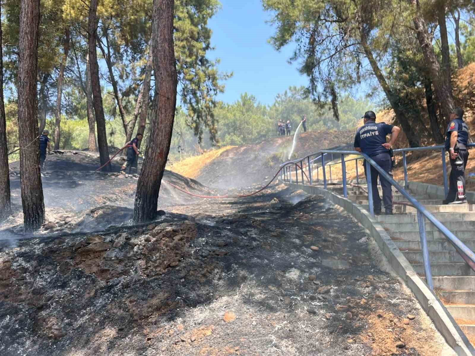 Mesire alanındaki yangın kısa sürede söndürüldü