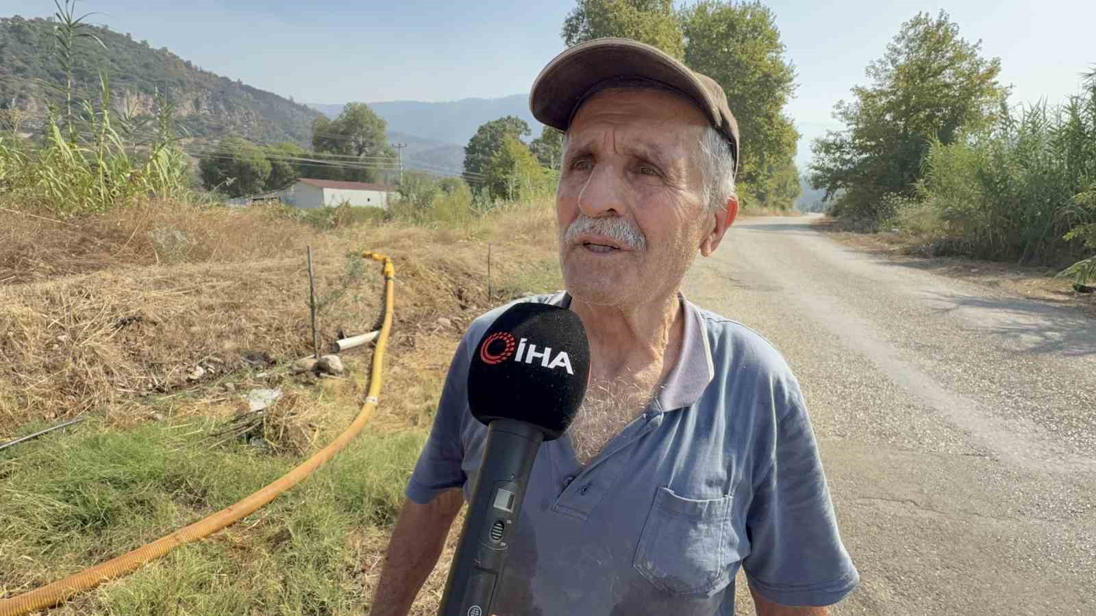 Zeytinlikleri kül oldu, gözyaşını içine akıtıp yangına su taşıdı