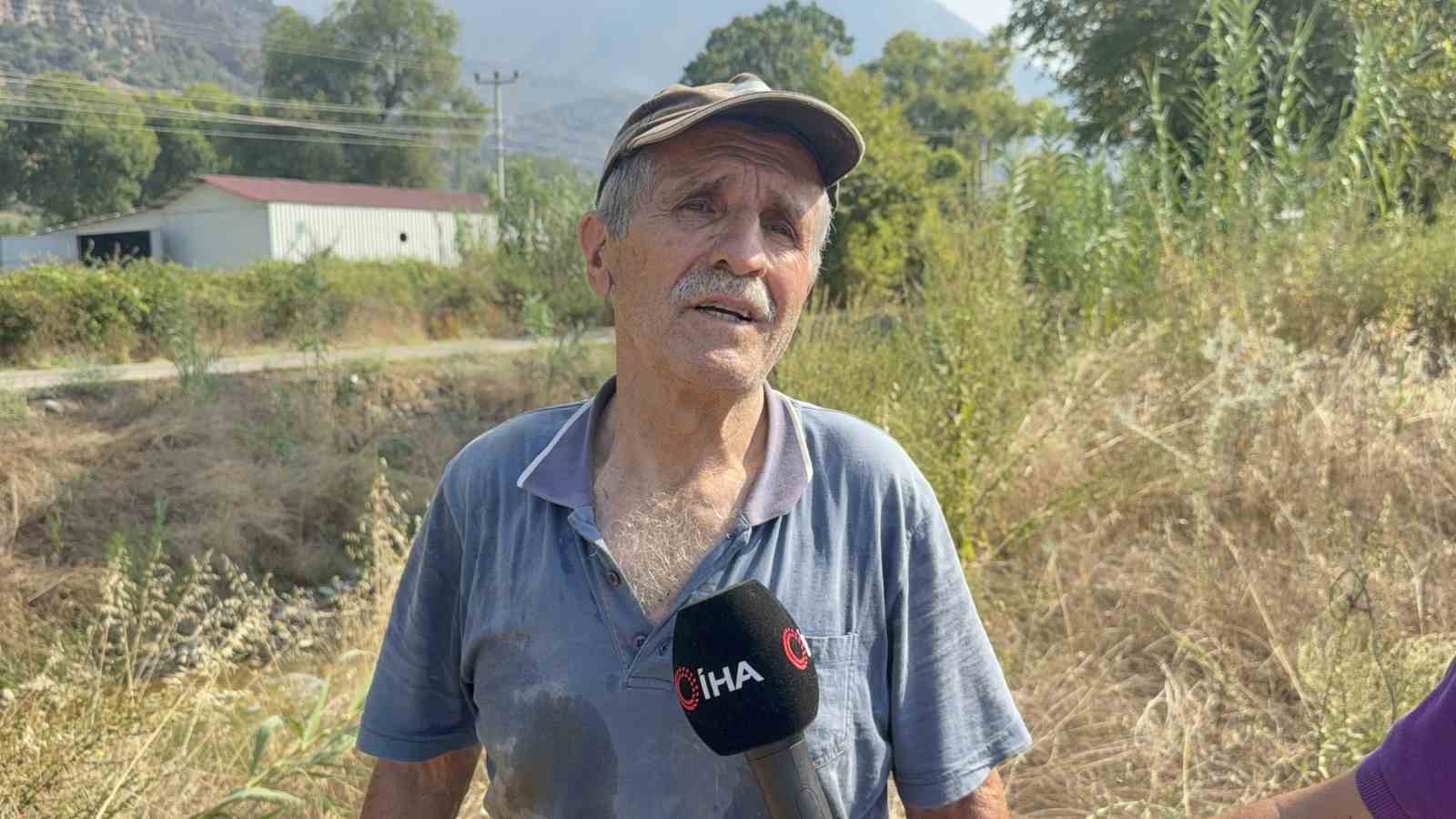 Zeytinlikleri kül oldu, gözyaşını içine akıtıp yangına su taşıdı