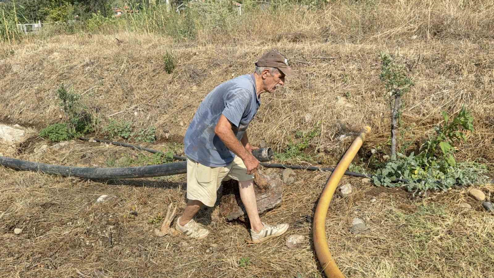 Zeytinlikleri kül oldu, gözyaşını içine akıtıp yangına su taşıdı