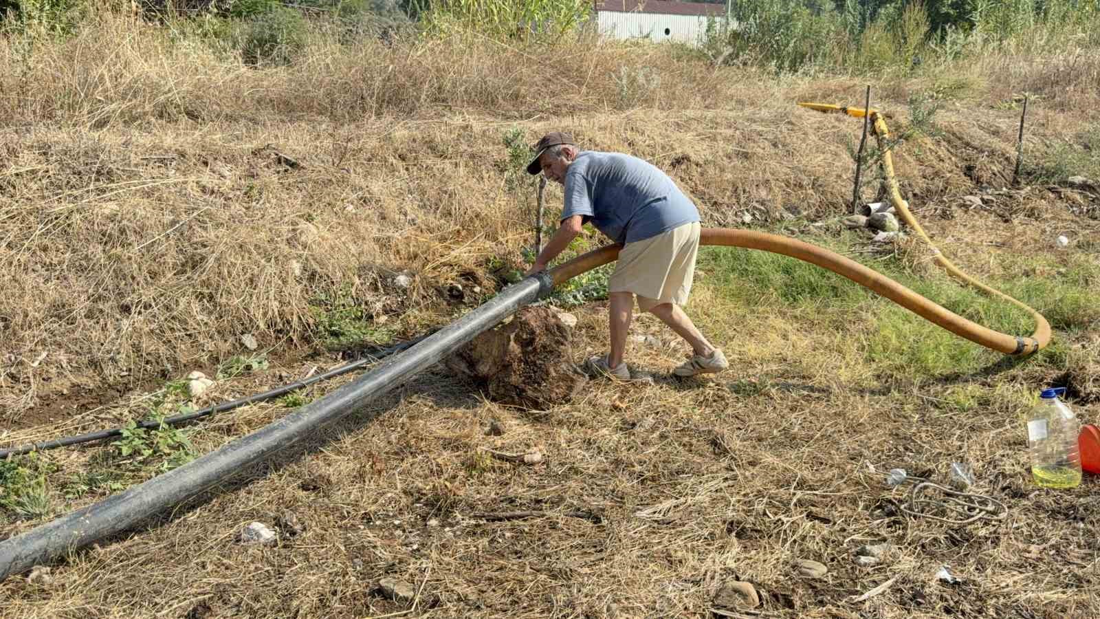 Zeytinlikleri kül oldu, gözyaşını içine akıtıp yangına su taşıdı