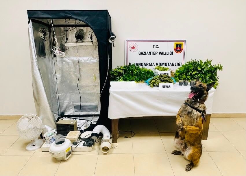 Gaziantep’te uyuşturucu tacirlerine darbe: 14 şahıs tutuklandı
