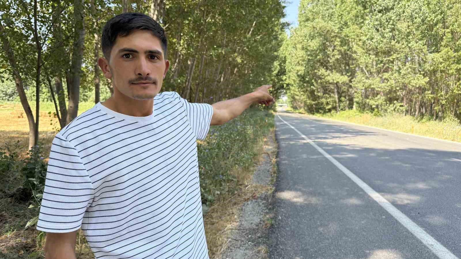 Ağaç tüneli görenleri mest ediyor