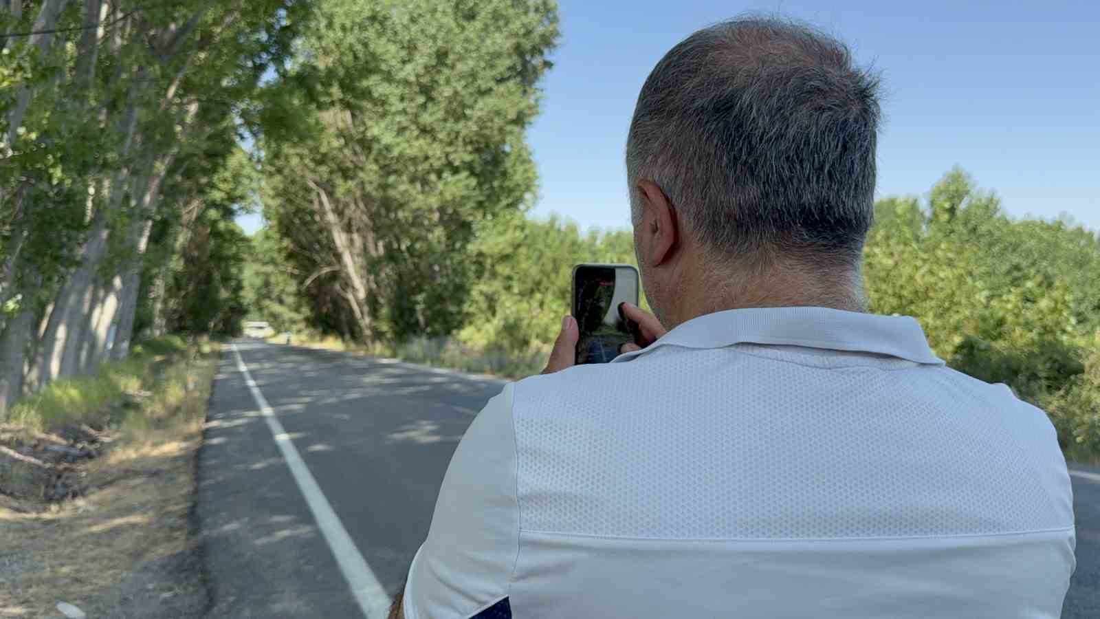Ağaç tüneli görenleri mest ediyor