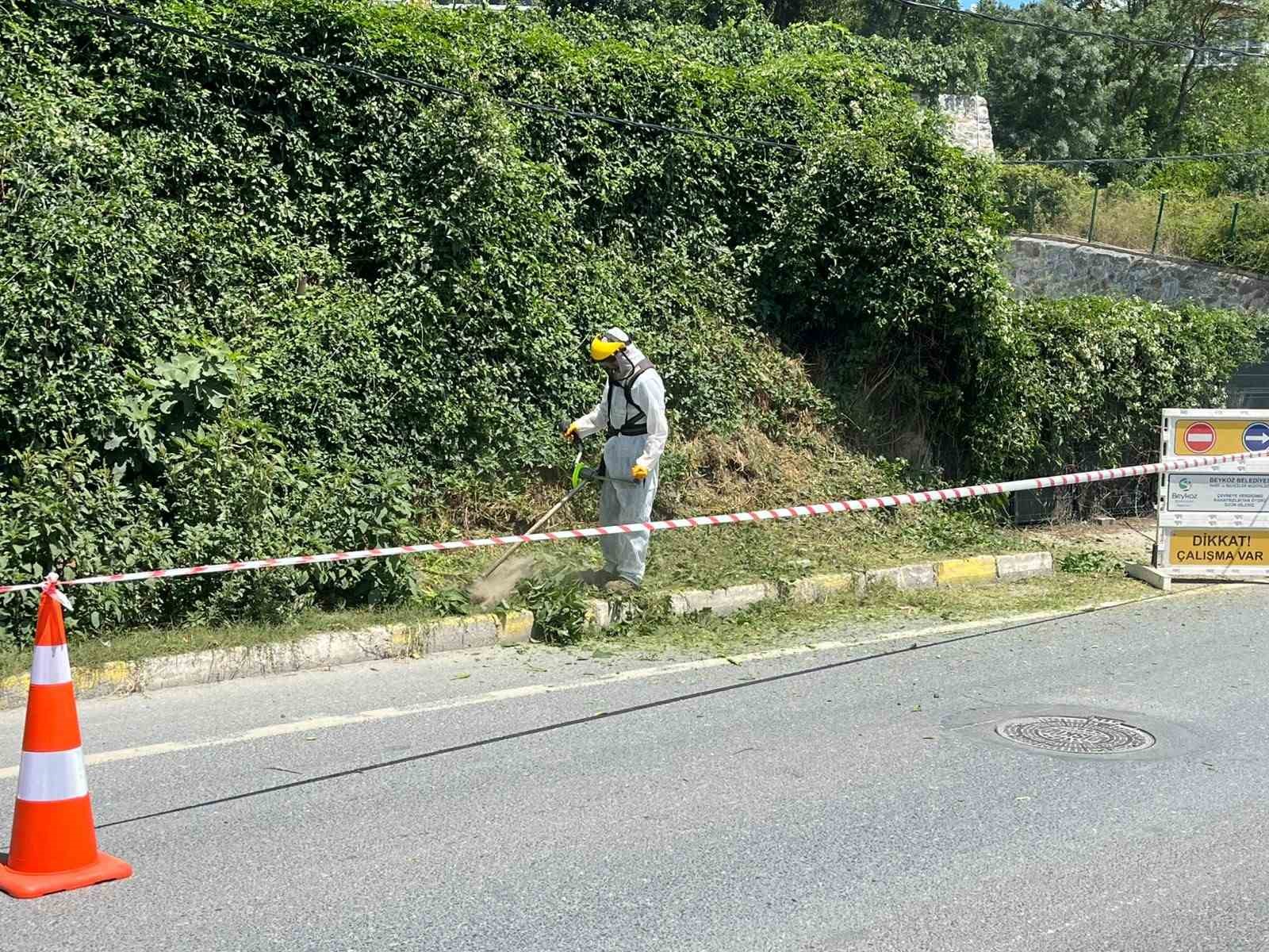 İBB’nin sorumluluğundaki yollarda otlar metrelerce uzadı, temizliği Beykoz Belediyesi yaptı