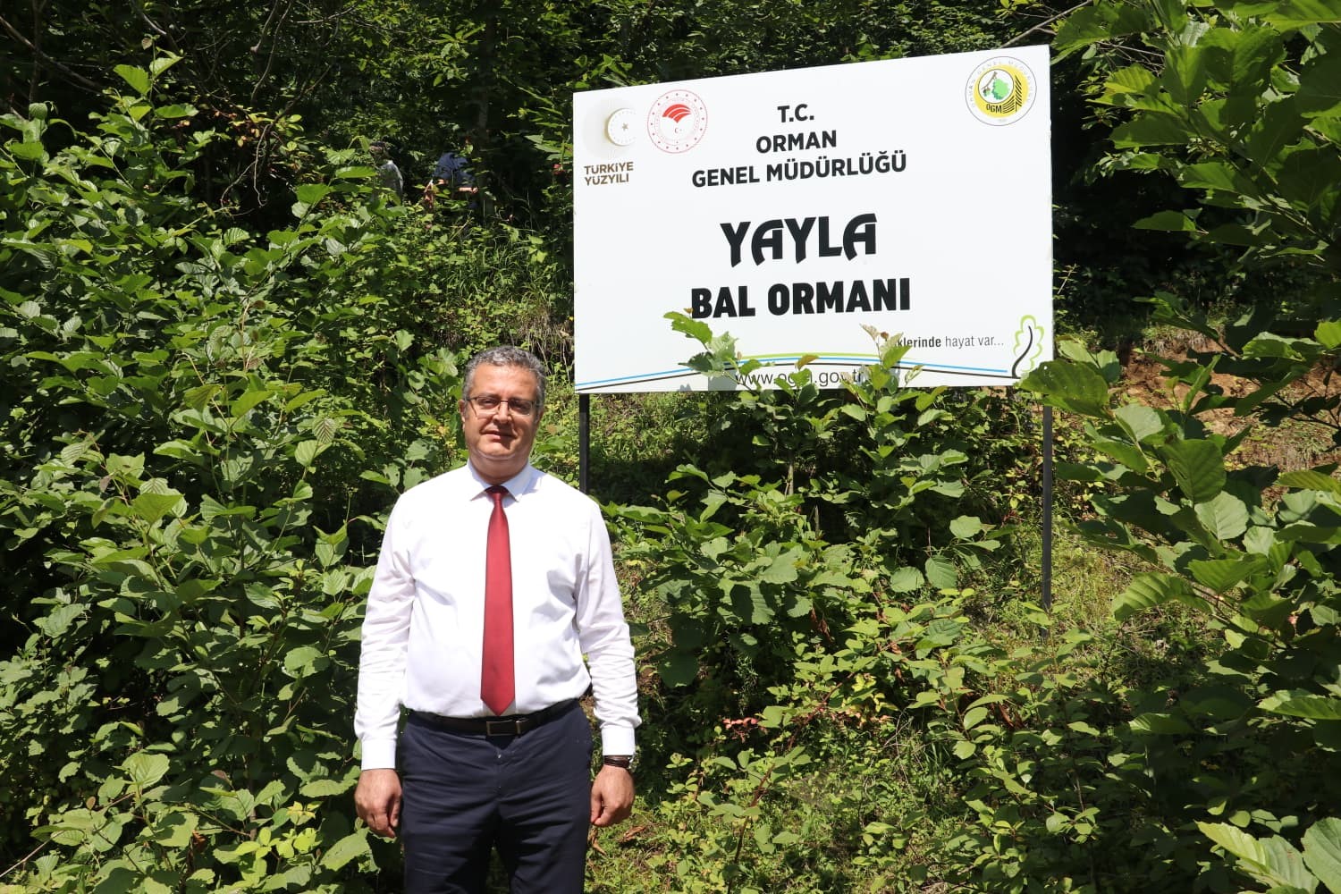 Coğrafi işaretli Salıpazarı kestane balında hasat başladı
