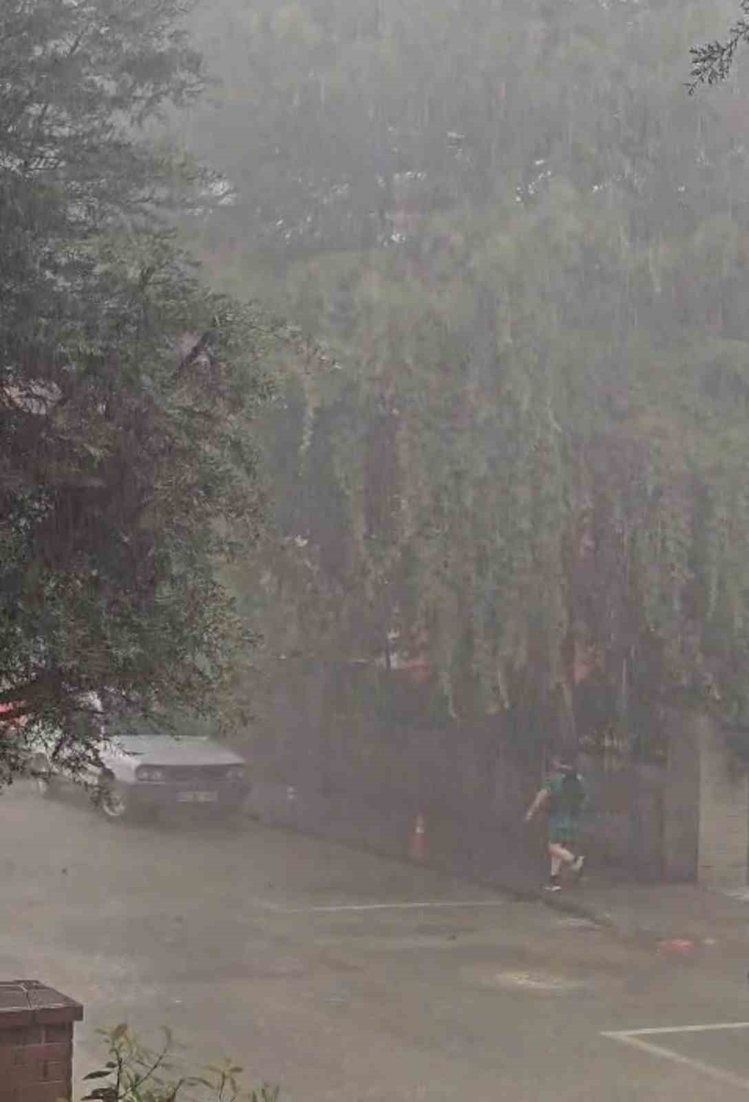 Tokat’ta fırtınada ağaçlar devrildi