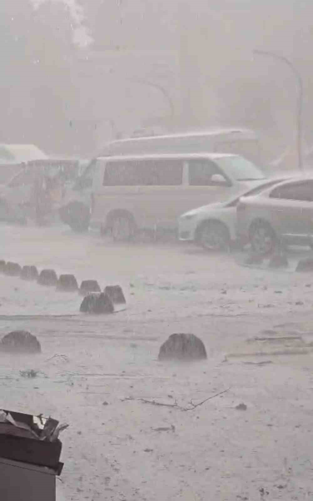 Tokat’ta fırtınada ağaçlar devrildi