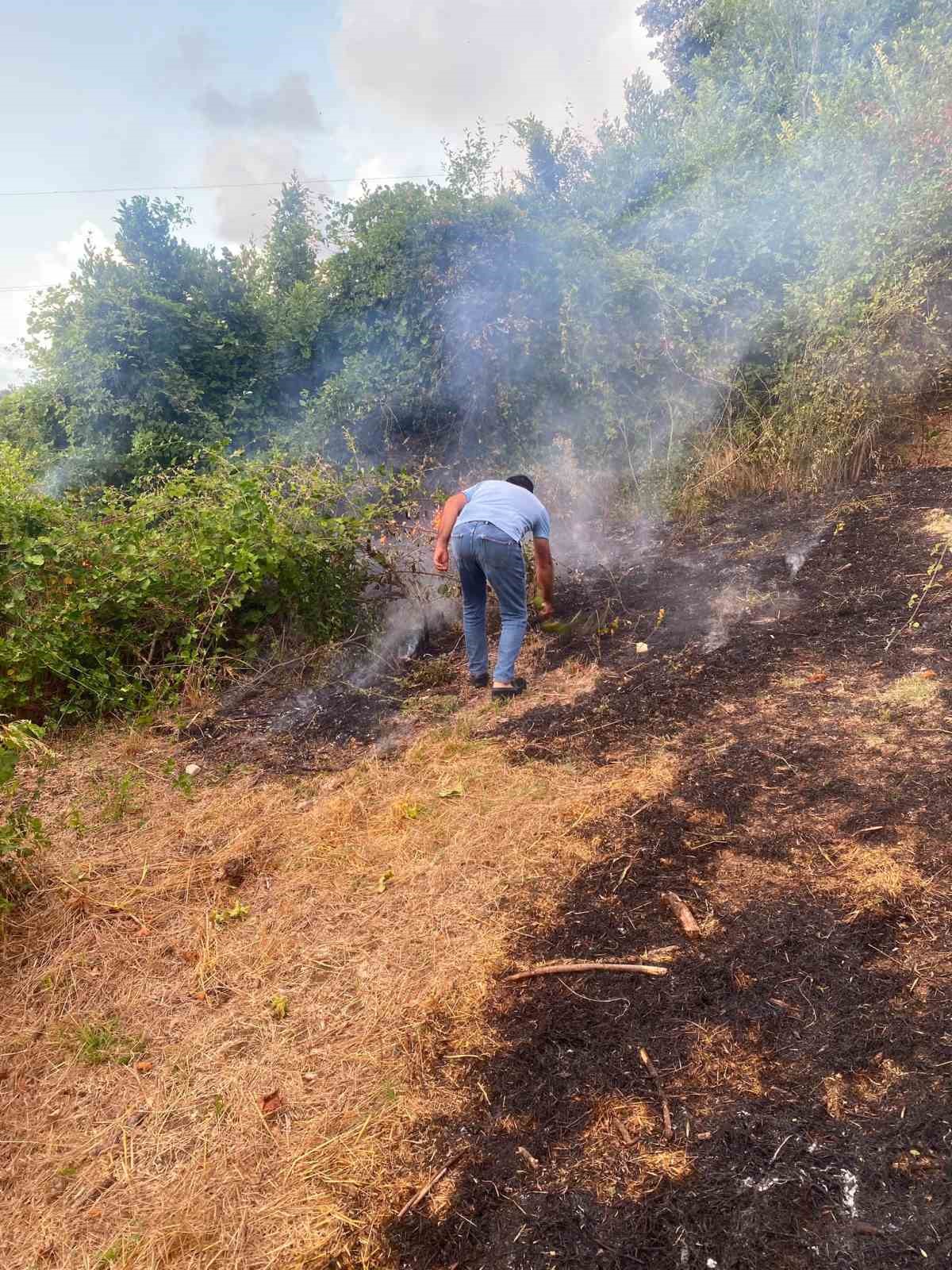 Düzce’de fındıklıkta korkutan yangın