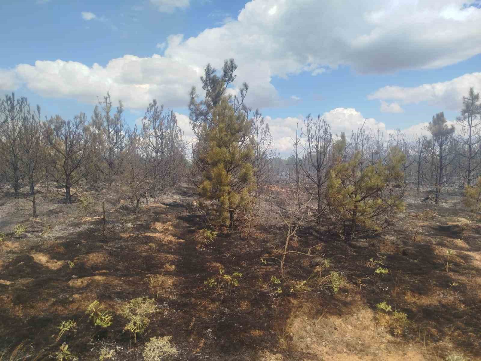 Kırklareli’deki orman yangını söndürüldü: 35 dekar alan zarar gördü