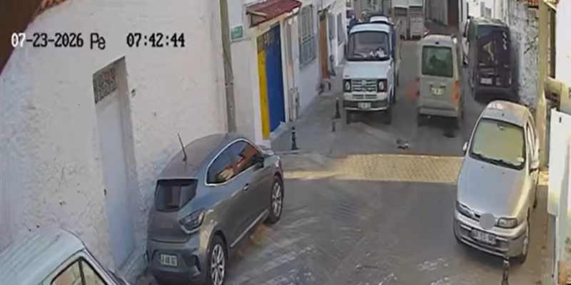 İki sokak kedisini ezdi, arkasına bile bakmadan uzaklaştı