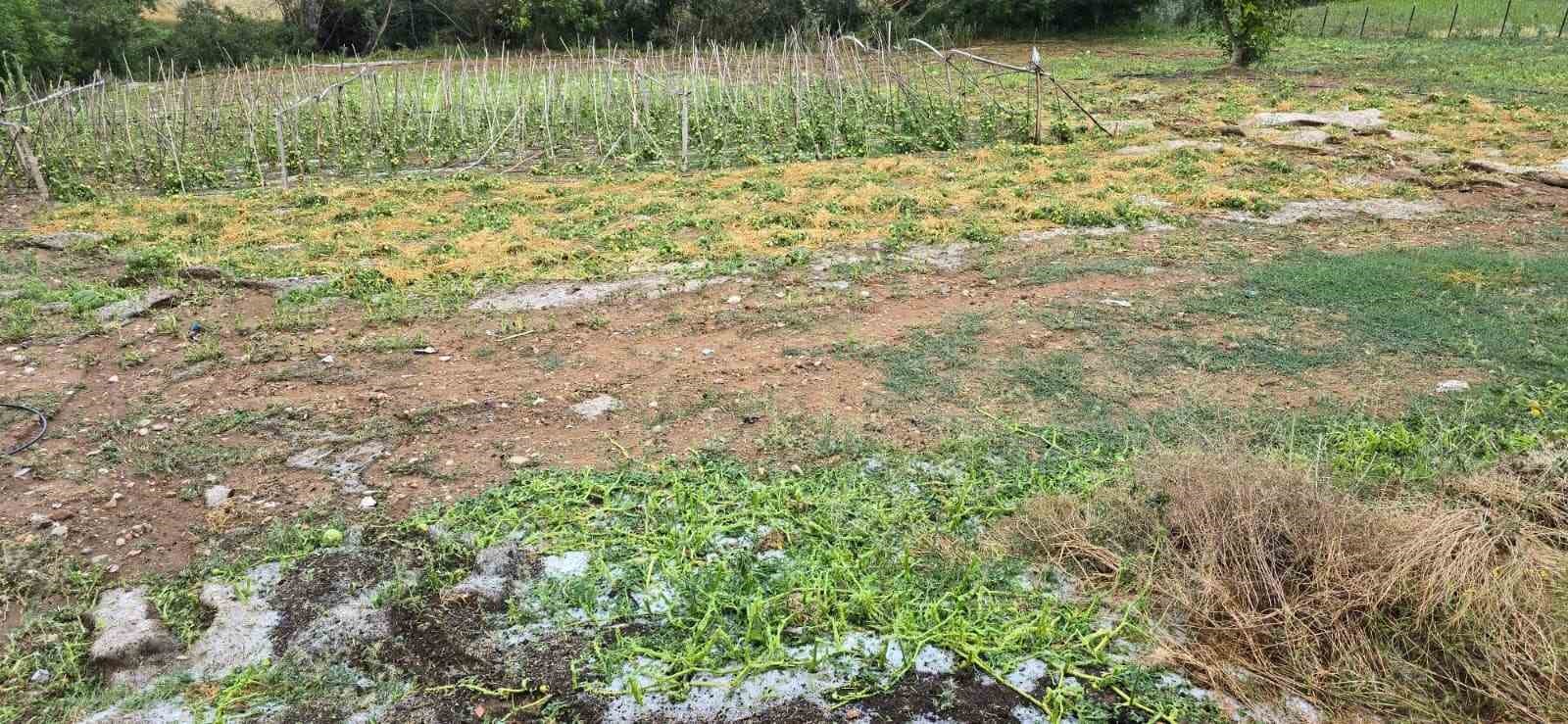 Samsun’da şiddetli sağanak ve dolu zarara yol açtı