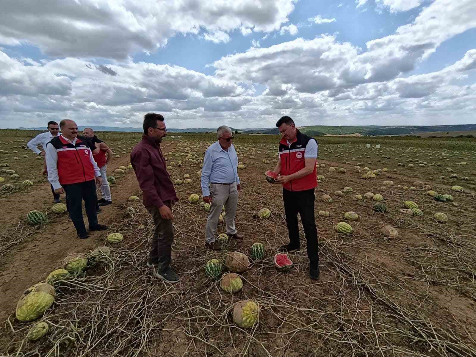 Tekirdağ’da dolunun vurduğu köylerde hasar tespit çalışmaları sürüyor
