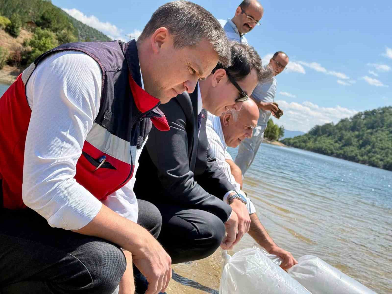 Hisarcık Hasanlar Barajı’na 80 bin sazan yavrusu bırakıldı