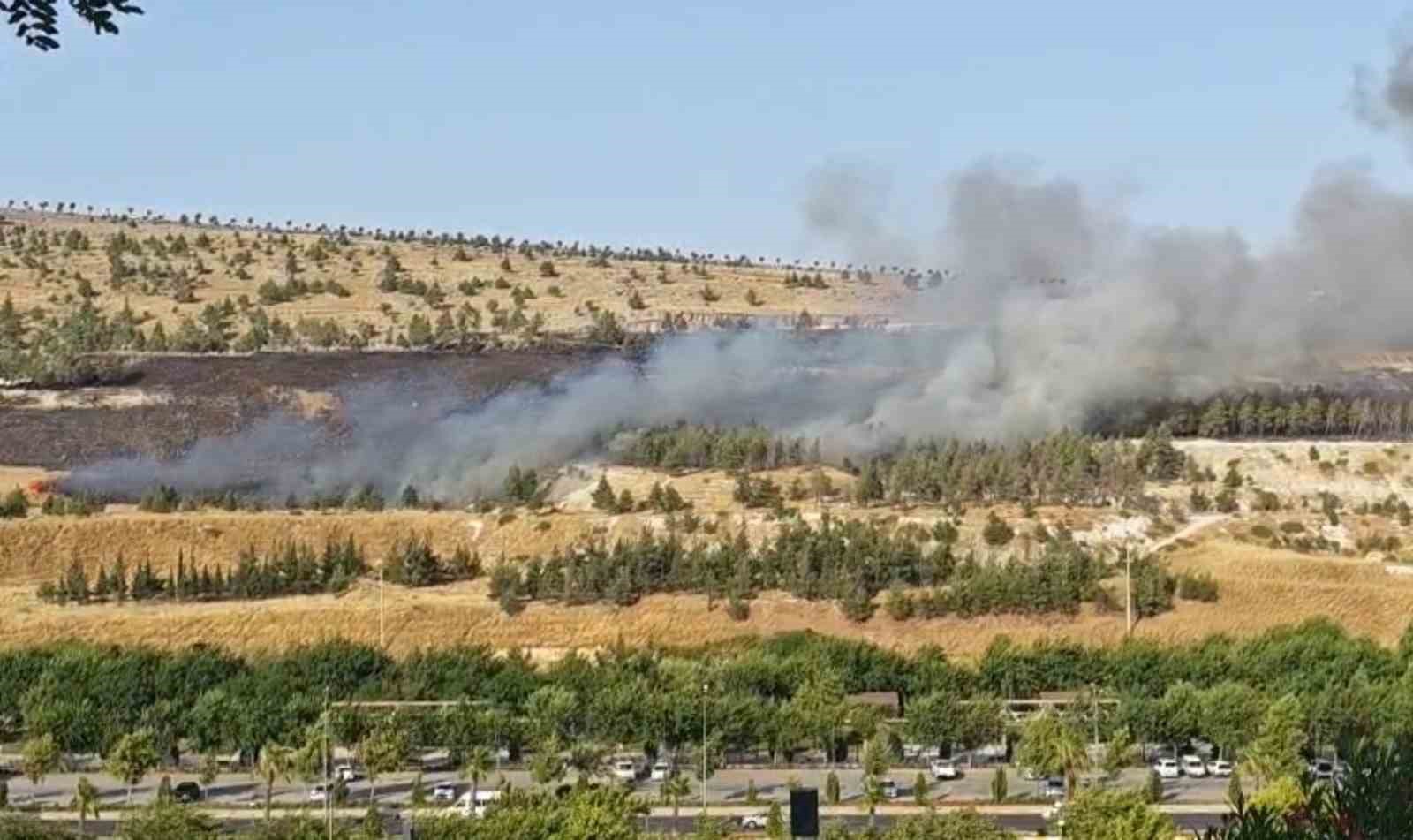 Şanlıurfa’da ormanlık alanda korkutan yangın