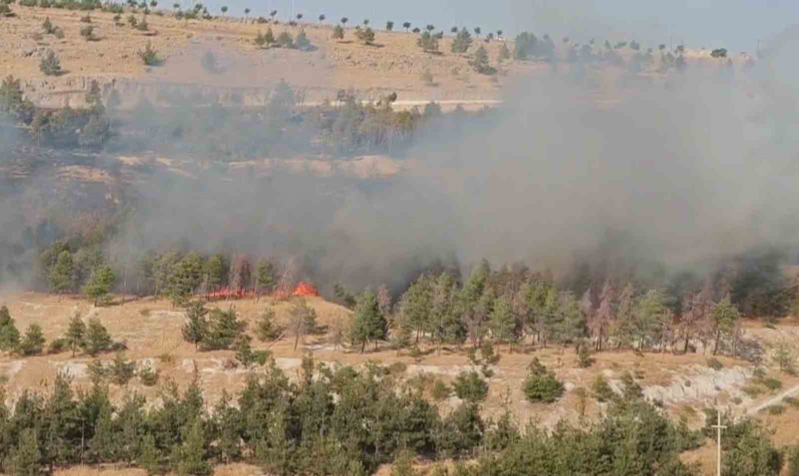Şanlıurfa’da ormanlık alanda korkutan yangın