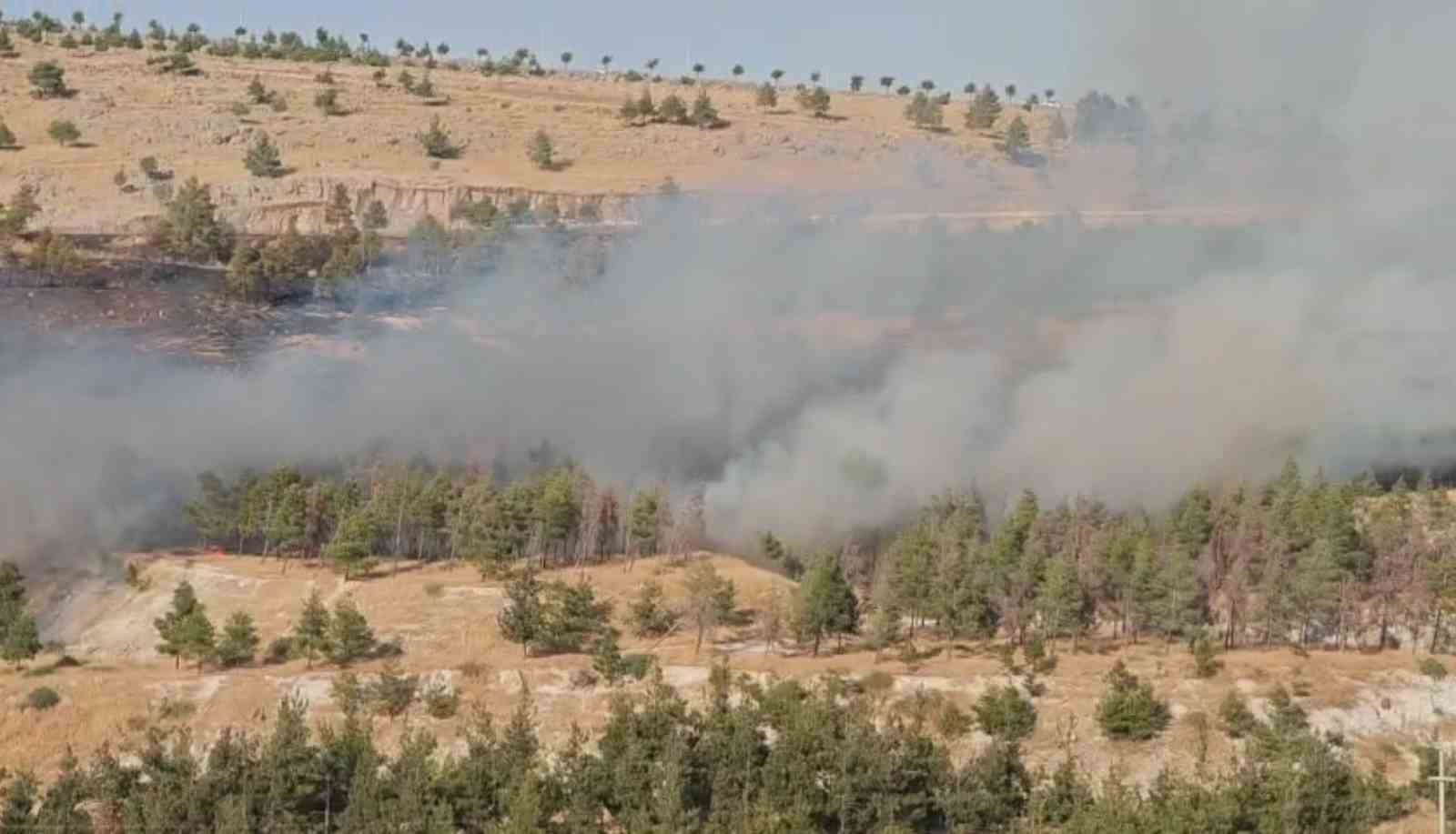 Şanlıurfa’da ormanlık alanda korkutan yangın