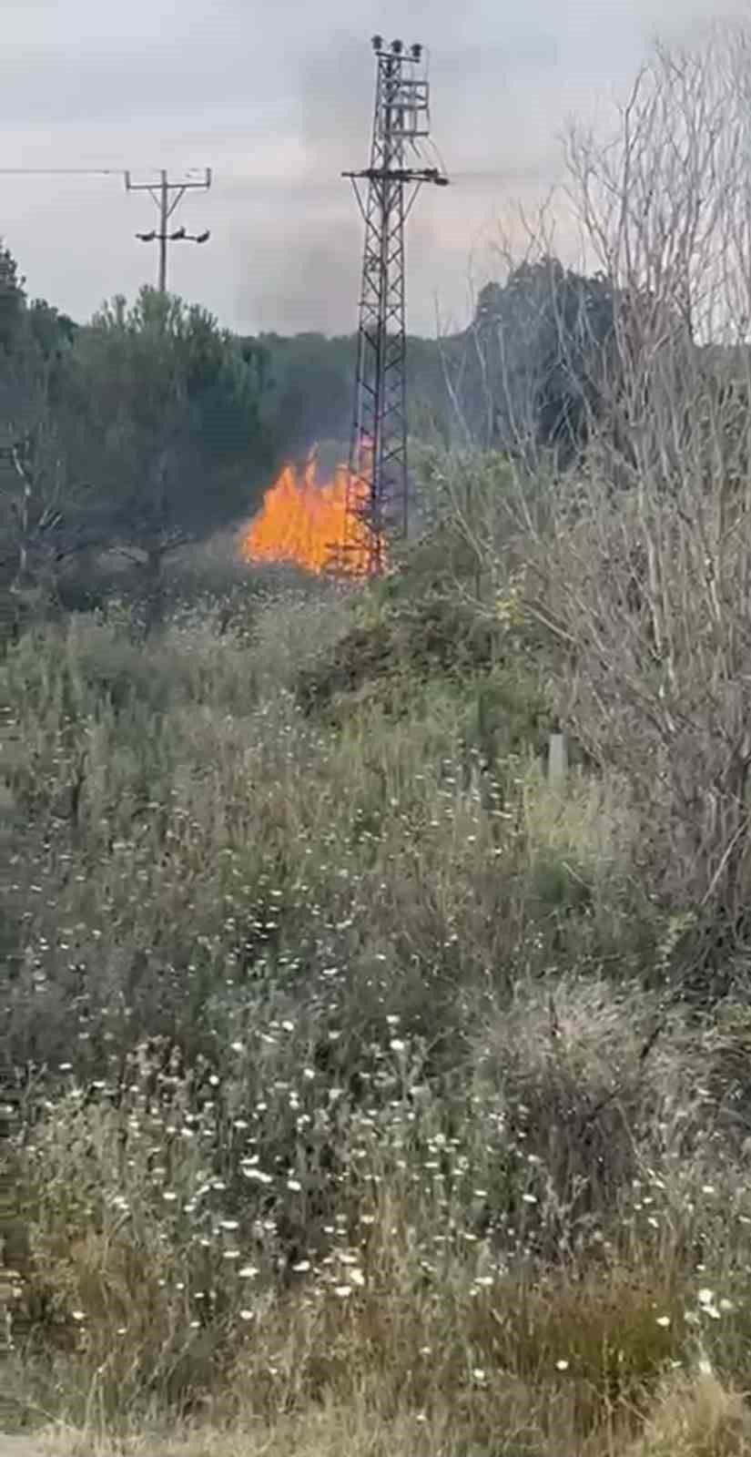 Çan’daki yangın ormana sıçramadan söndürüldü