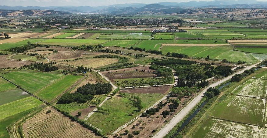 Tıbbi ve aromatik meyveler orman köylüsüne gelir kapısı oluyor
