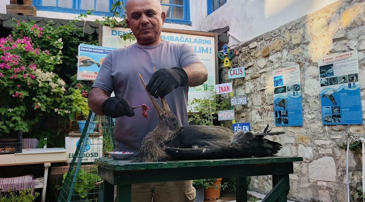 Vicdanı yaralı karaleyleği hayata bağladı
