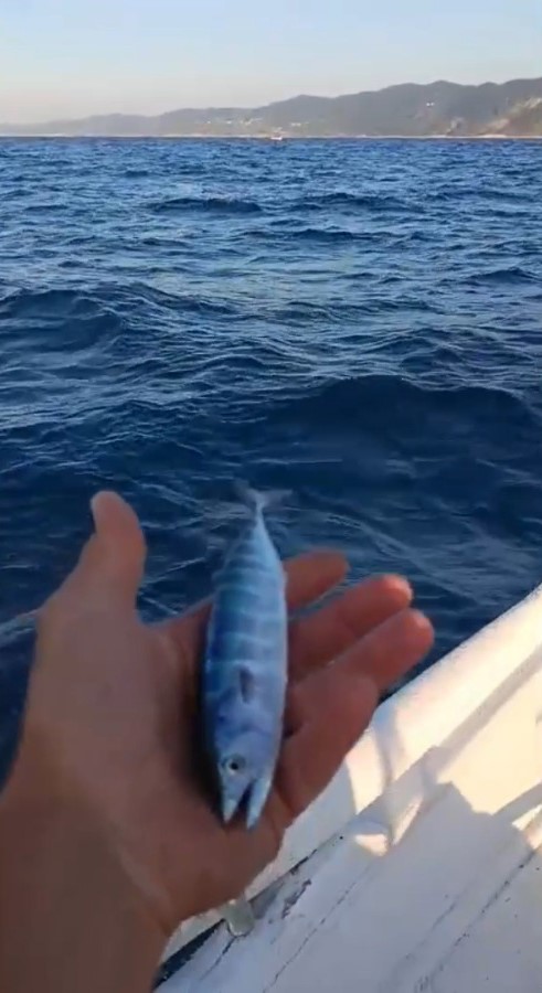 Sinop’ta sezonun uğuru yakalandı