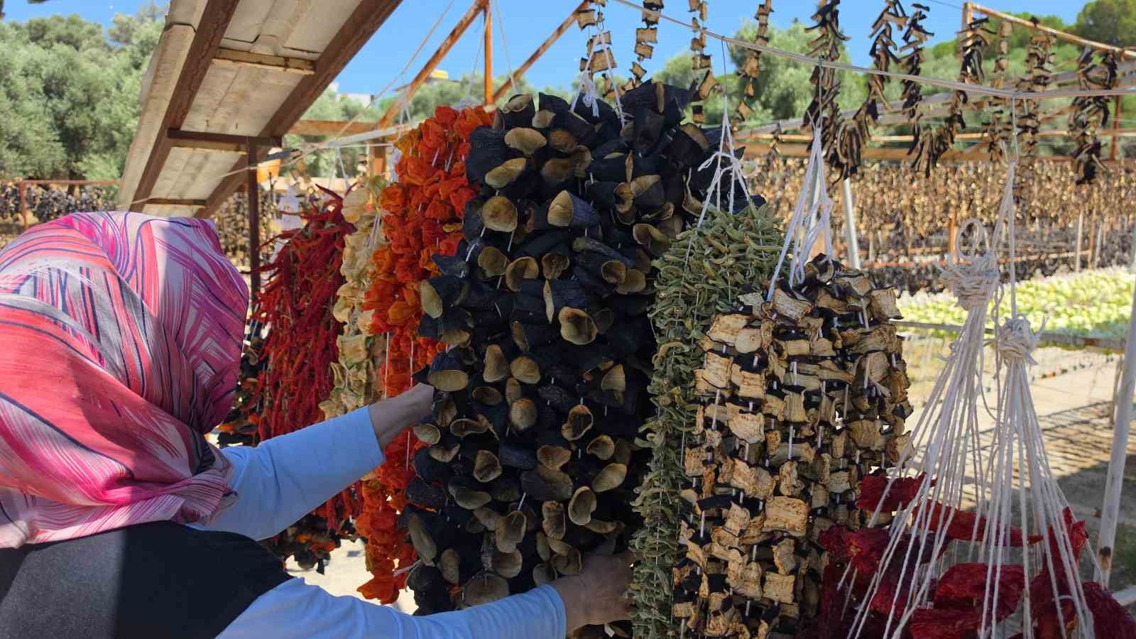 Ege’nin ’Patlıcan Vadisi’nden tüm dünya sofralarına