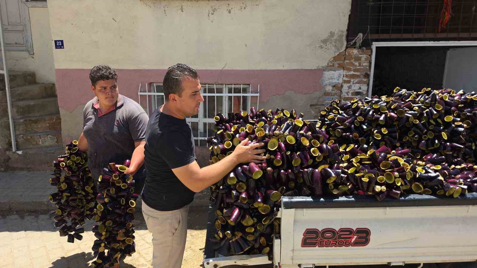 Ege’nin ’Patlıcan Vadisi’nden tüm dünya sofralarına