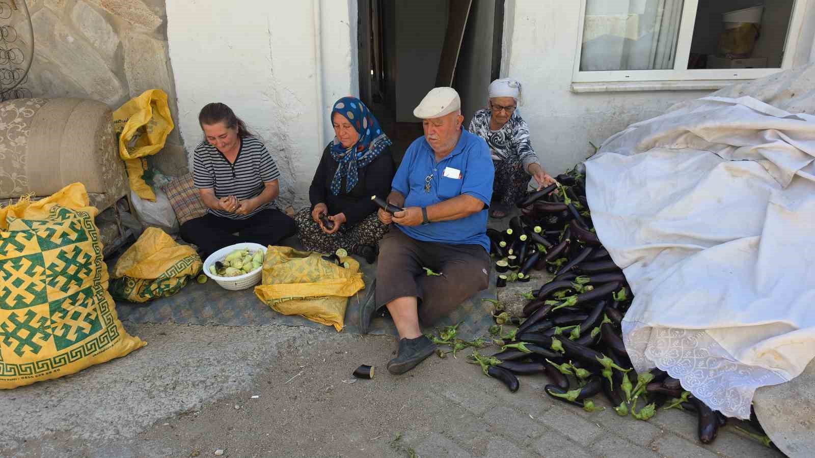 Ege’nin ’Patlıcan Vadisi’nden tüm dünya sofralarına