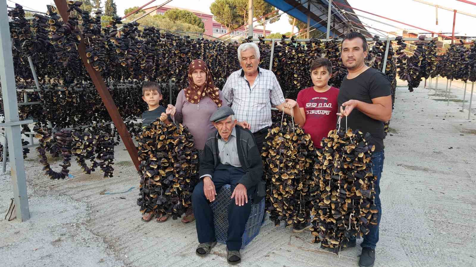 Ege’nin ’Patlıcan Vadisi’nden tüm dünya sofralarına