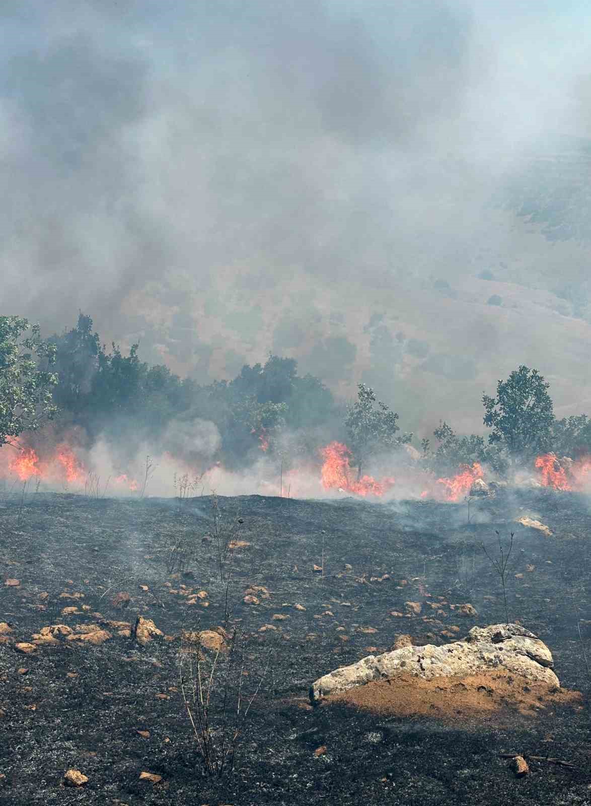 Diyarbakır’da örtü ve orman yangını